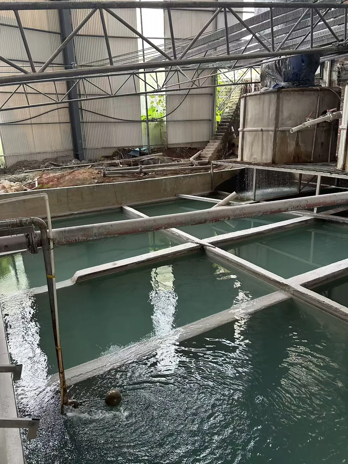 Water purification process