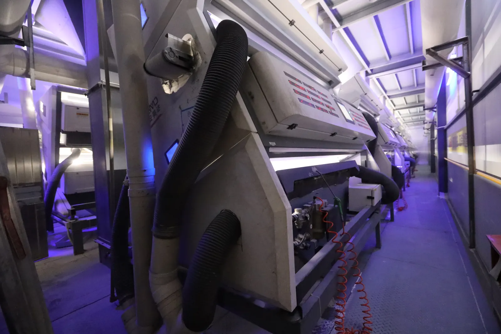 Colour sorting production line